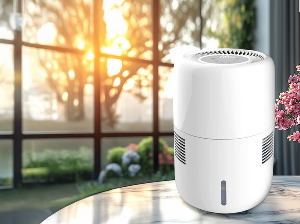 Увлажнители воздуха и мойки (Вопросы-ответы по увлажнителям и очистителям воздуха)