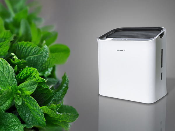 Виды увлажнителей воздуха